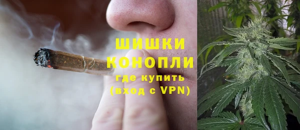 соль ск Богданович
