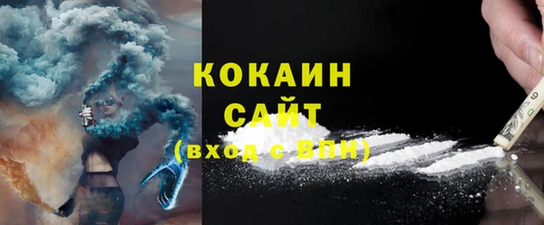 соль ск Богданович