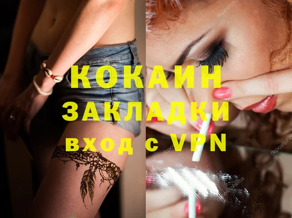 соль ск Богданович