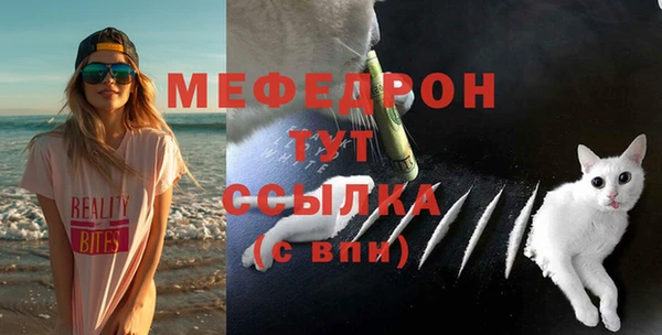 соль ск Богданович